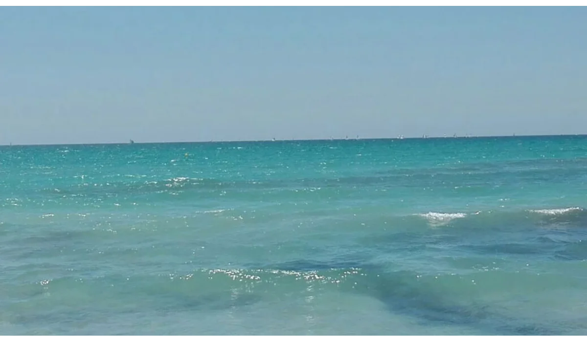 Da­men­komi­tee on Tour