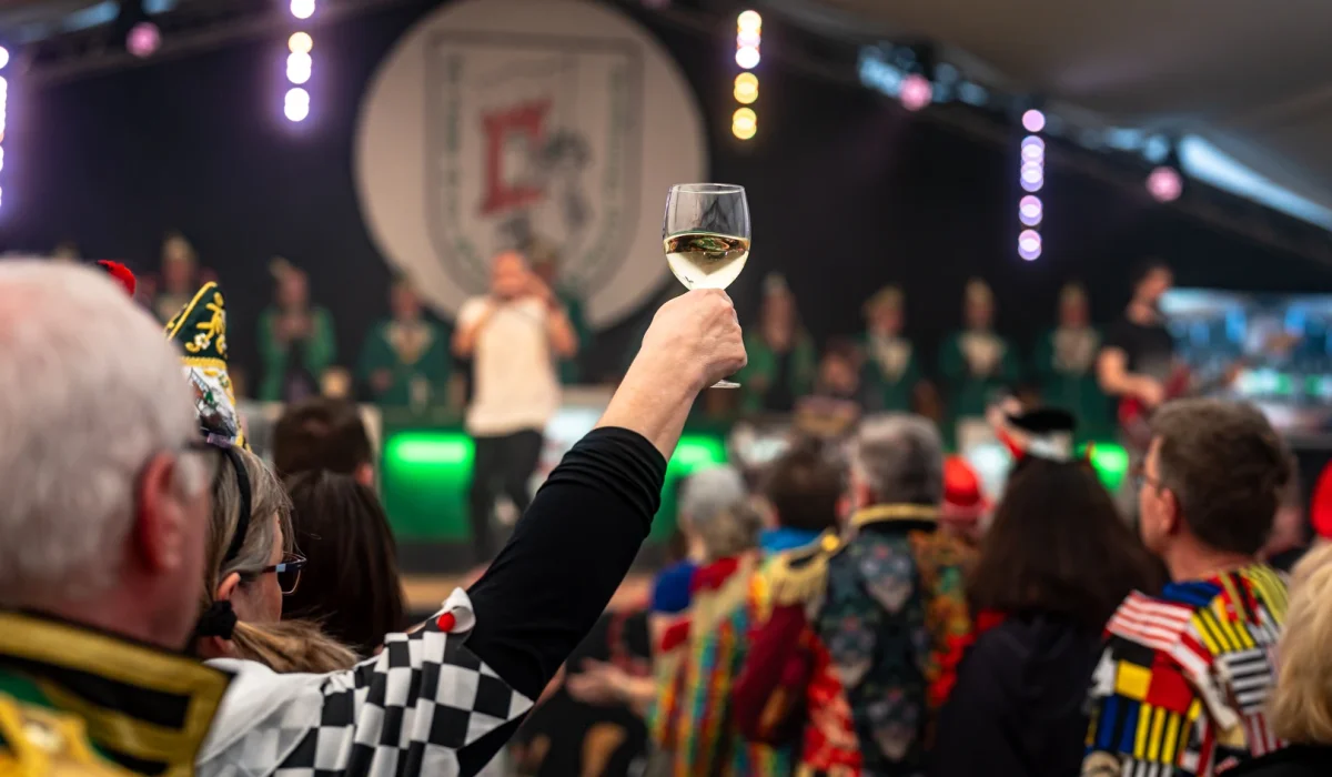 Große Kostümsitzung 2025